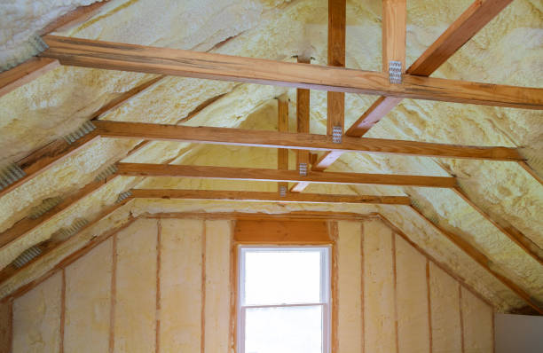 Best Home Insulation Services  in Osceola, IN