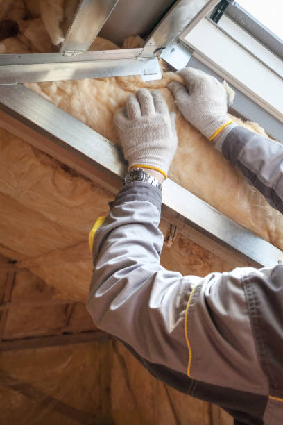 Best Blown-in Insulation  in Osceola, IN