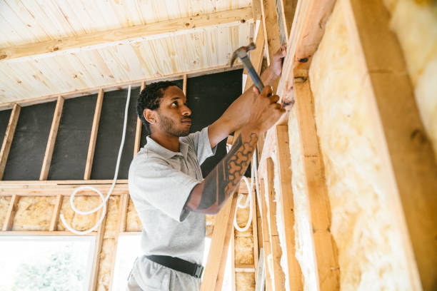 Best Wall Insulation Contractor  in Osceola, IN