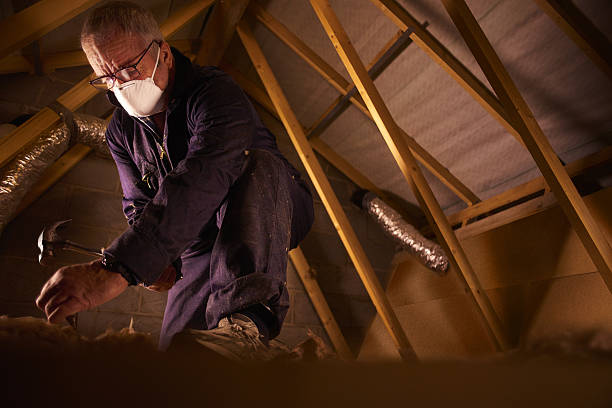 Best Crawl Space Insulation  in Osceola, IN