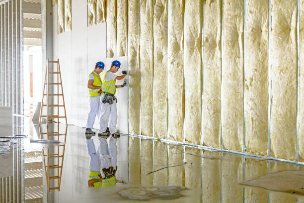 Best Insulation Contractor Near Me  in Osceola, IN